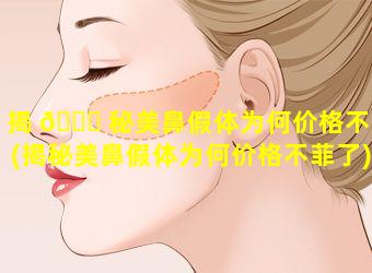 揭 🍀 秘美鼻假体为何价格不菲(揭秘美鼻假体为何价格不菲了)